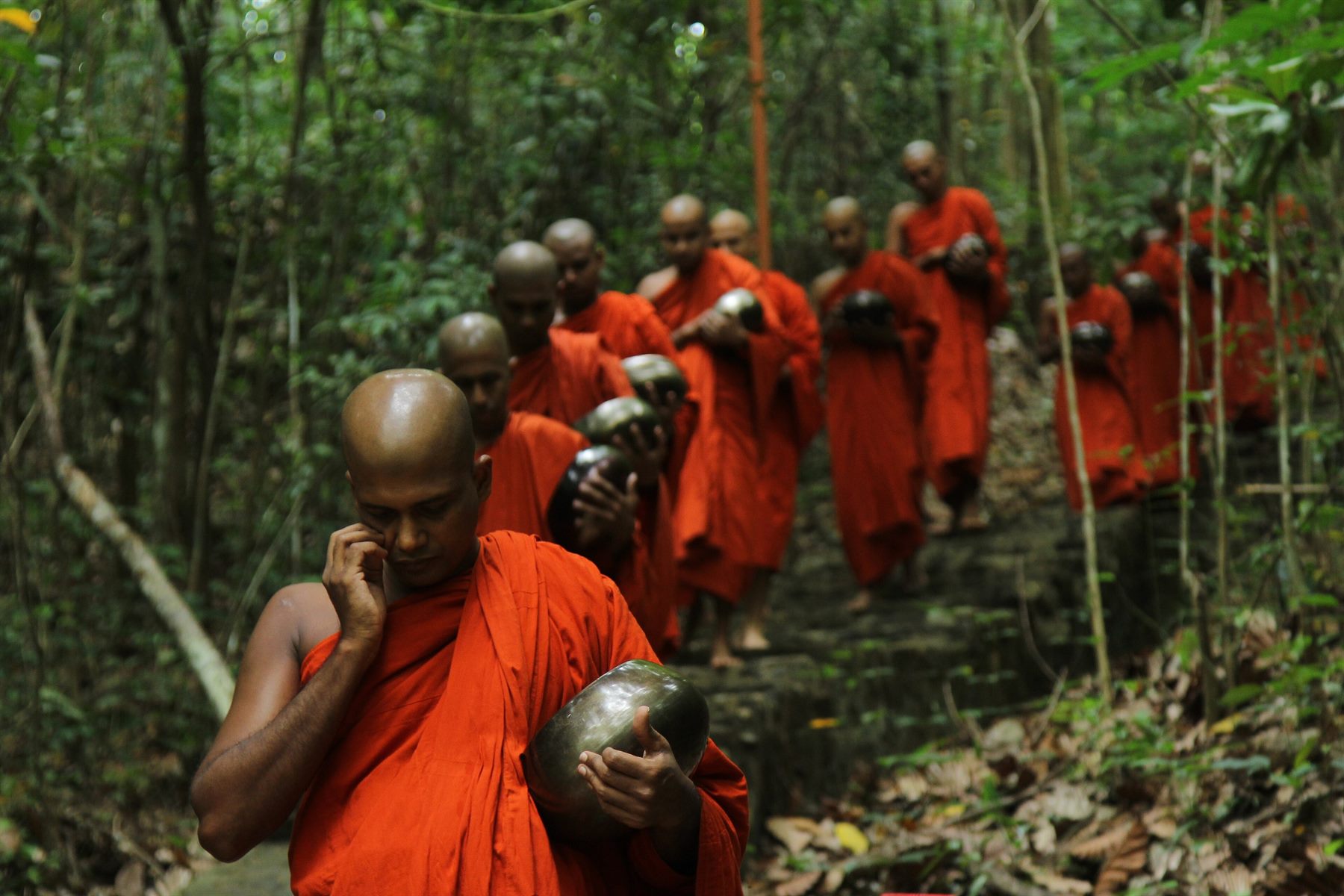 A file of bhikkhus in saffron robes carrying their alms bowls down forest steps on the morning alms round.