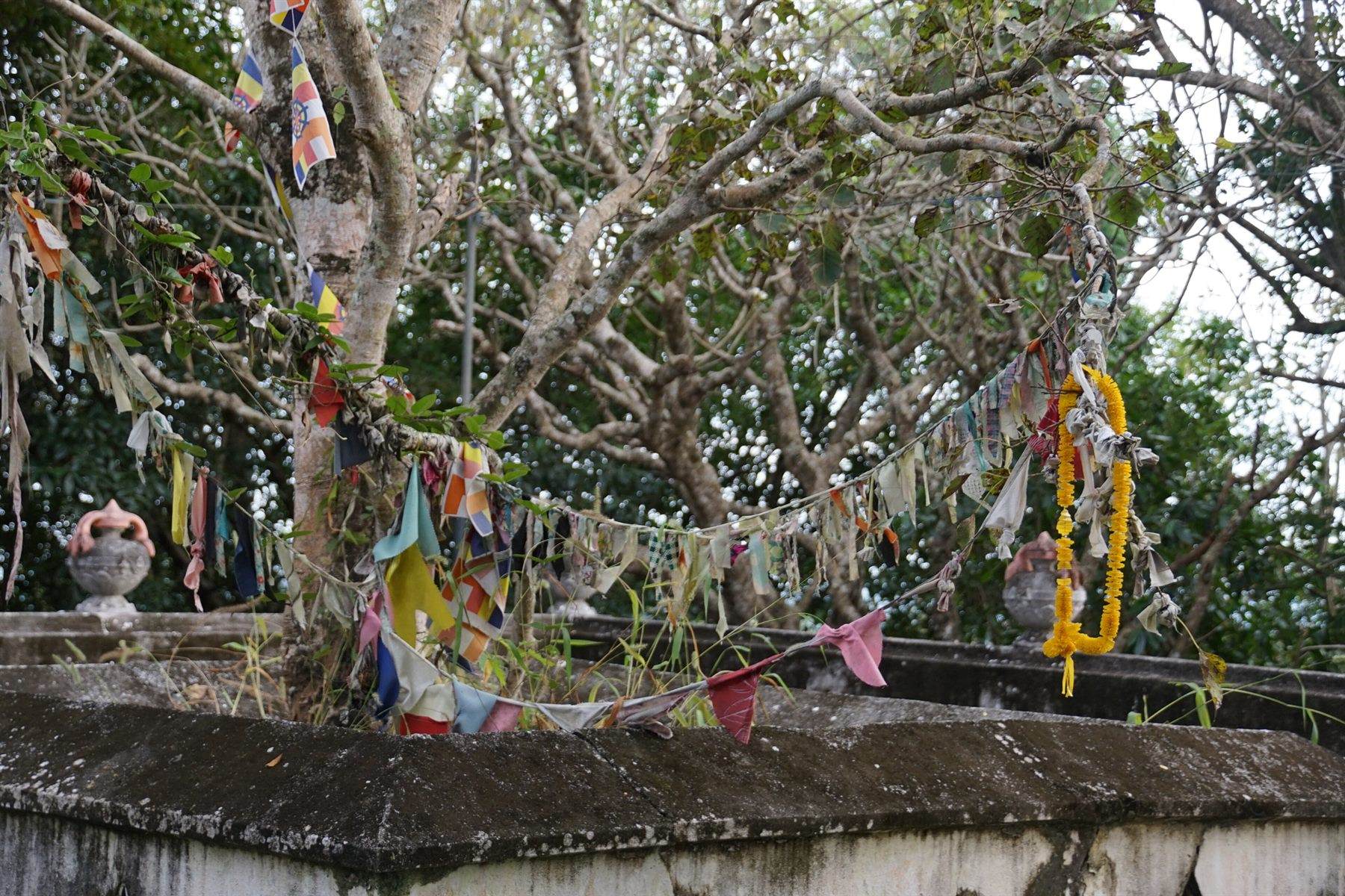The Mulkirigala rock temple rising above the coconut country north of Tangalle.