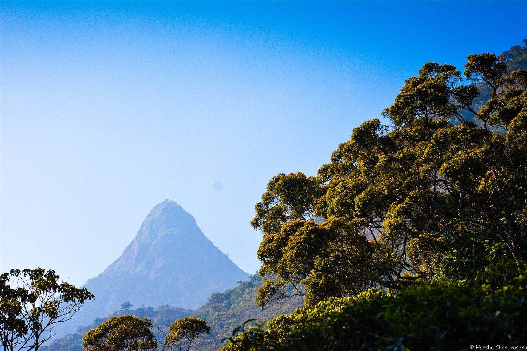 The conical summit of Śrī Pāda, Adam's Peak, seen across water at dawn.